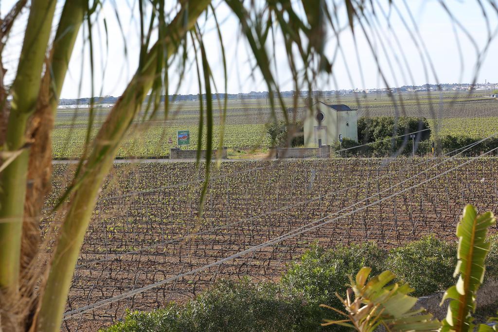 Eco Green La Vigna Leverano Ruang foto